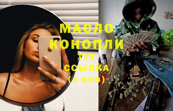 амф Горняк