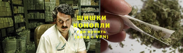 ECSTASY Гусев
