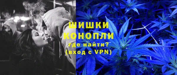 гидра Гусь-Хрустальный