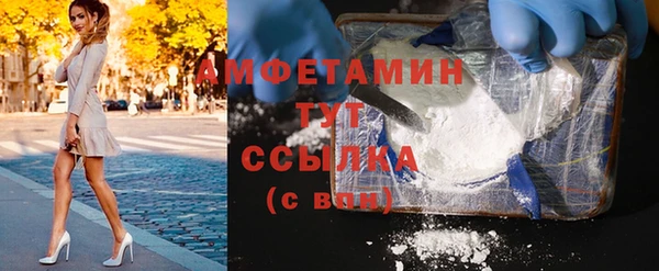 гидра Гусь-Хрустальный