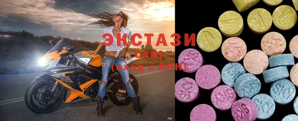 гидра Гусь-Хрустальный