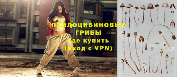 прущий лед Гусиноозёрск