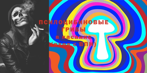 гидра Гусь-Хрустальный