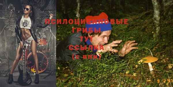 ECSTASY Гусев